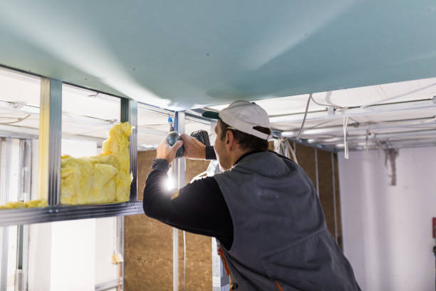 Best Commercial Insulation in Carson City, MI