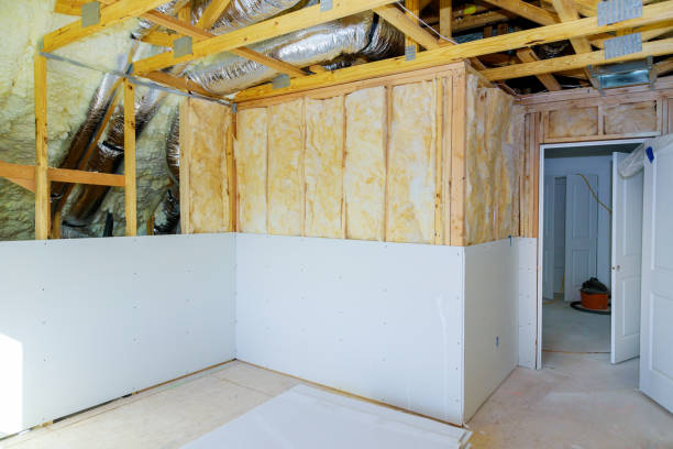 Best Energy Efficiency Solutions in Carson City, MI